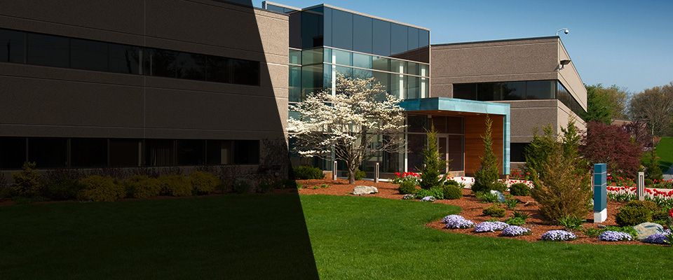 Cary Landscapers