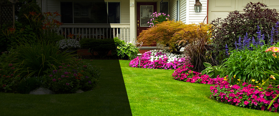 Cary Landscapers