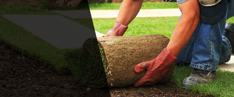 Cary Landscapers